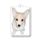 corgimaniaのコーギーbelle_4 アクリルキーホルダー