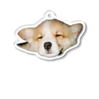 corgimaniaのコーギーbelle_5 アクリルキーホルダー