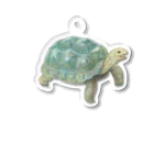 めろんぽっぷのお店だよの踏みだせ、アルダブラゾウガメ。 Acrylic Key Chain