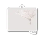 rilybiiの🫖 sakura milk tea . Acrylic Key Chain