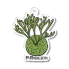 PLANTs　-プランツ-の「リドレE-2」 Acrylic Key Chain