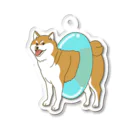 takaseのSHOPのプールに行く気の柴犬 Acrylic Key Chain