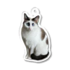 amiyukiの保護猫ゆき Acrylic Key Chain
