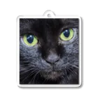 YSD-yamatoのPrettyCat　ヤマト Acrylic Key Chain