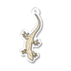 LalaHangeulのJapanese gecko(ニホンヤモリ)　英語デザイン アクリルキーホルダー