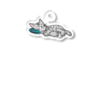 ŠЙǾŴのねこ Acrylic Key Chain