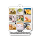 カメまる子🐢のカメまる子ＴＶペット集 Acrylic Key Chain