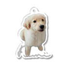 しらたま犬やさんのパピーふみちゃんロゴver Acrylic Key Chain