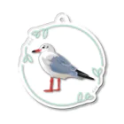 やちよ｜リアル鳥イラストのユリカモメさん Acrylic Key Chain