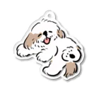 ぺろぺろぺろぺろ【せいこせんせい】のシーズー ニコニコ  グレー　【せいこせんせい】犬 アクリルキーホルダー