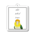 mariechan_koboの056 シロハラインコ シンプルフレーム Acrylic Key Chain