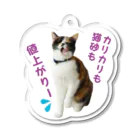 猫の手づくり首輪　こげねこの物価高騰を叫ぶおこげさん Acrylic Key Chain