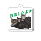 猫の手づくり首輪　こげねこの投票行ったアピールをしたい人のための猫トリオ Acrylic Key Chain