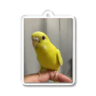 そらゆめインコのルチノーインコ アクリルキーホルダー