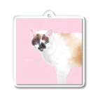 うちねこショップ【うちねこちゃん】の【うちねこちゃん】ちびみった Acrylic Key Chain