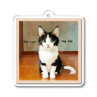 espogifu_ネコグッズのno cat no life Acrylic Key Chain