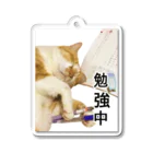 天光のねこ部屋のココアさんはお勉強中(笑) Acrylic Key Chain