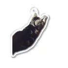 アメショーのひめちゃんのアメショーのひめちゃん③ Acrylic Key Chain