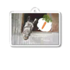 Loveuma. official shopのNagemeshi Please! by Horse Support Center Acrylic Key Chain