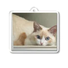 SUGARのsleep on a shelf Acrylic Key Chain