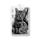 Bohcaの野生的な猫 Acrylic Key Chain