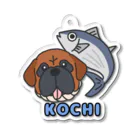 SHOP中部地方🍵🍡ご当地グッズ専門店🗾🎵のご当地キーホルダー(高知🐟) Acrylic Key Chain