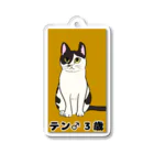 toru_utsunomiyaの猫のテンくん Acrylic Key Chain