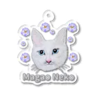 れいにゃん堂&れいにゃあ～と😺のチョークアートの白猫[Magao Neko] アクリルキーホルダー
