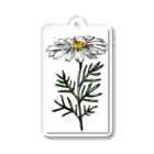 ペンで描く植物の詩のchamomile(カラー) Acrylic Key Chain