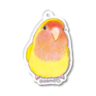 aoamo shopのコザクラインコゴールデンチェリー アクリルキーホルダー