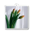 035ザッカテンのtulip Acrylic Key Chain