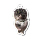 ねことらくがきさん。のあんちゃん Acrylic Key Chain