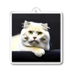 Animal-goodsのかわいい猫ちゃんの写真 Acrylic Key Chain