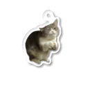 むっちり猫のむっちり丸のちょうだい！ミロ姫！ Acrylic Key Chain