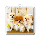 3pomeranian-leo-house　グッズショップのPomeranianlovers　ポメラニアン アクリルキーホルダー