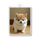 pet_daisukiのシーバ君 Acrylic Key Chain