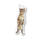 BCMの立つ猫 Acrylic Key Chain