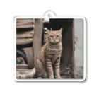 TAIYO 猫好きの綺麗な座り姿の猫 Acrylic Key Chain