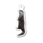 ＯｔｔｅｒＵのStanding Uchan keychain アクリルキーホルダー