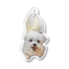 Doggyman_bowwowのなにわろてんねんドッグ Acrylic Key Chain