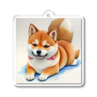 shIbaのシバの眼差し Acrylic Key Chain