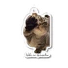 猫のさばみそ&ごましお百貨店(さばごま百貨店)のいつでもごましお Acrylic Key Chain