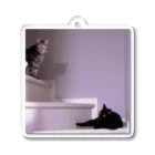 dishの階段の猫 Acrylic Key Chain