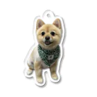 ポメラニアンのポメくんのポメラニアンのポメくん Acrylic Key Chain