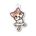 hogokeの保護猫はるか イラスト アクリルキーホルダー