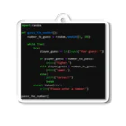 Todaiのプログラミングコード アクリルキーホルダー