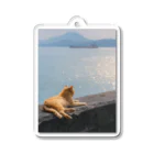 Ryoppi_neko_photoのRyoppi_neko_goods-3 Acrylic Key Chain