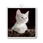可愛い動物の猫 Acrylic Key Chain