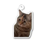 猫ミームグッズの【猫ミーム】叱られる猫 Acrylic Key Chain