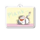 SuperDanceCatのプランクスコティッシュフォールド Acrylic Key Chain